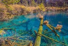 九寨沟风景区：金铃海