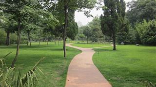 郑州碧沙岗公园怎么玩？附游玩路线