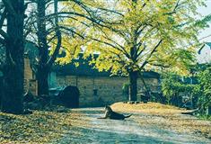 平乐古镇介绍及游玩景点推荐