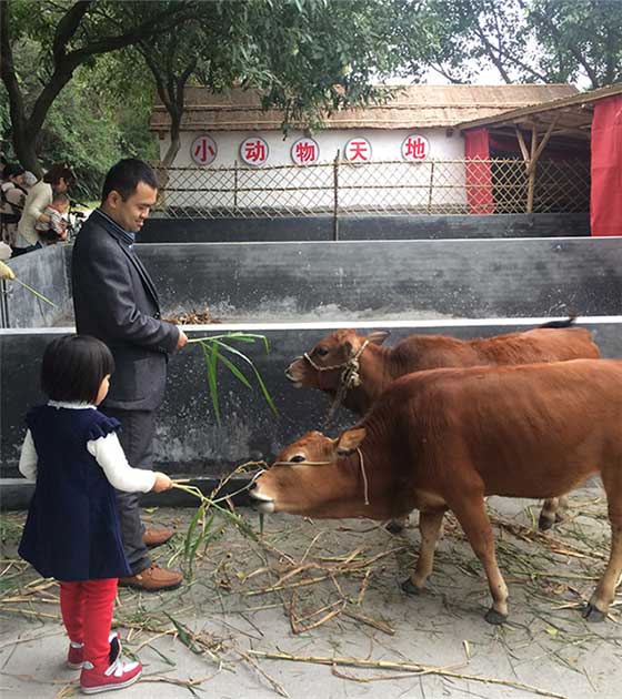 李小龙乐园15400