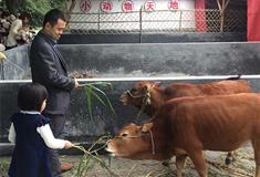 李小龙乐园：小动物天地