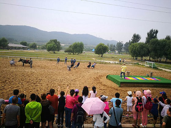 大连铭湖国际温泉滑雪度假区15745
