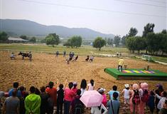 大连铭湖国际温泉滑雪度假区：马术场