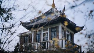 上海桂林公园介绍及游玩景点推荐 上海桂林公园介绍及游玩景点推荐