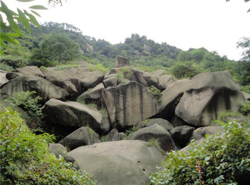 九华天池旅游景区15769