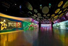 泰山花样年华景区：梦幻花都