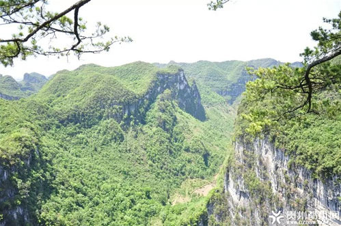 乐业大石围15984