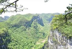 乐业大石围燕子天坑有什么好看的