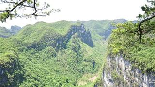 乐业大石围燕子天坑有什么好看的