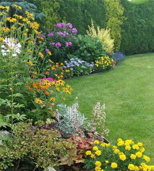 石家庄植物园15555