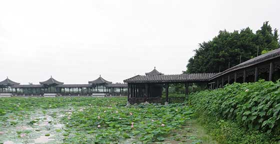 三水荷花世界有哪些表演节目?附演出时间节目表 三水荷花世界有哪些表演节目?附演出时间节目表