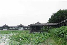 佛山三水荷花世界开放时间及门票价格