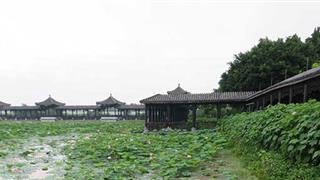 三水荷花世界介绍及游玩景点推荐