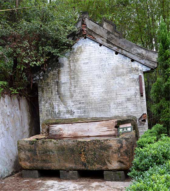 李小龙乐园15411