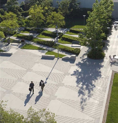 石家庄植物园15575