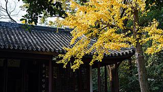 寄畅园秉礼堂有什么好看的