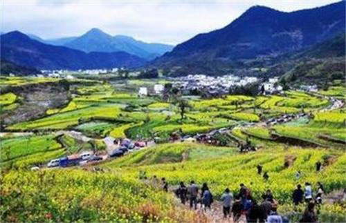 婺源江岭景区15589