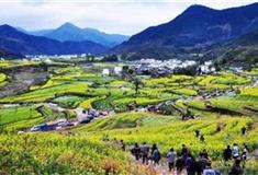 婺源江岭：庄园人家