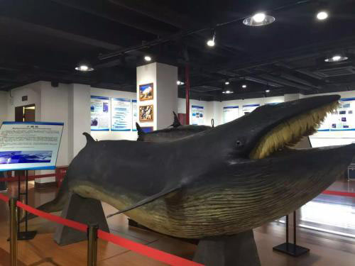厦门大学海洋科技博物馆