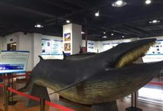 厦门大学：海洋科技博物馆