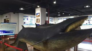 厦门大学：海洋科技博物馆
