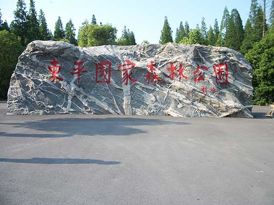 上海东平国家森林公园介绍及游玩景点推荐 上海东平国家森林公园介绍及游玩景点推荐