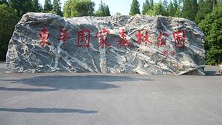 上海东平国家森林公园介绍及游玩景点推荐