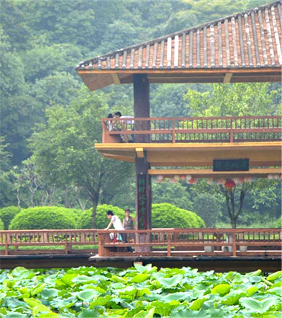 李小龙乐园15407