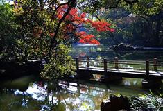 寄畅园七星桥有什么好看的