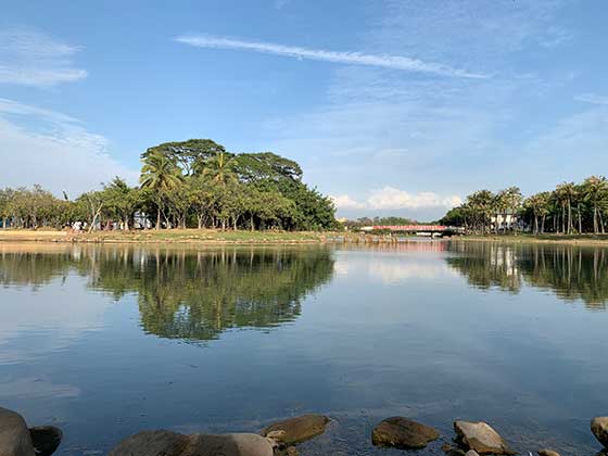 深圳海上田园介绍及游玩景点推荐 深圳海上田园介绍及游玩景点推荐