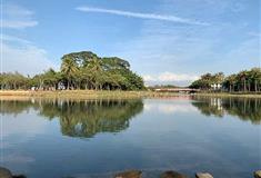 深圳海上田园介绍及游玩景点推荐