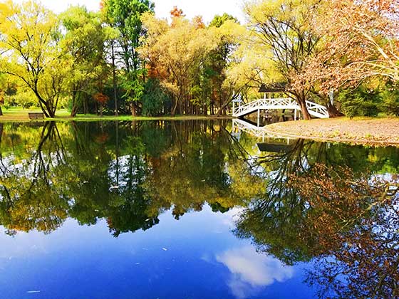 上海共青国家森林公园介绍及游玩景点推荐 上海共青国家森林公园介绍及游玩景点推荐