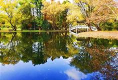 上海共青国家森林公园介绍及游玩景点推荐