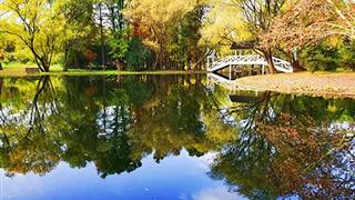 上海共青国家森林公园介绍及游玩景点推荐