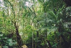 腾冲荷花温泉怎么样？泡温泉攻略及价格