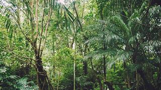 腾冲荷花温泉怎么样？泡温泉攻略及价格