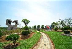 泰山花样年华景区：比翼双飞