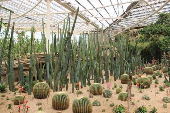 泰山花样年华景区15300