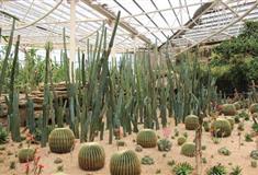 泰山花样年华景区：热带风情馆