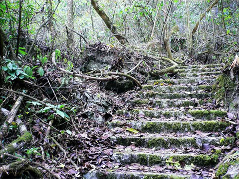 乐业大石围15991