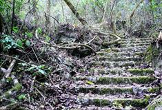 乐业大石围神木天坑有什么好看的