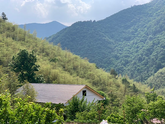 龙王山风景区介绍及游玩景点推荐