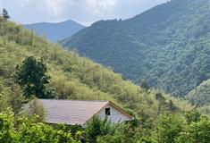 龙王山风景区介绍及游玩景点推荐