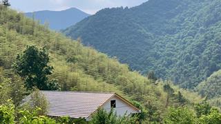 龙王山风景区介绍及游玩景点推荐