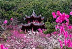 寄畅园梅亭有什么好看的