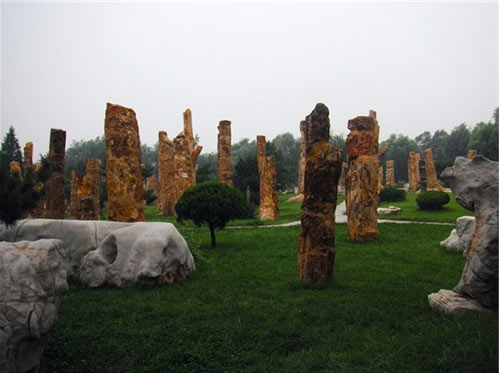 石家庄植物园15566