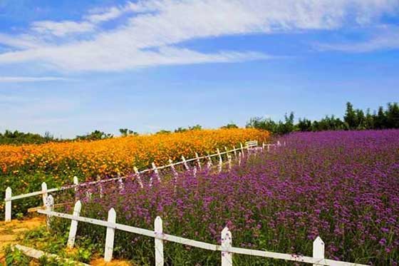 恒河生态园介绍及游玩景点推荐 恒河生态园介绍及游玩景点推荐