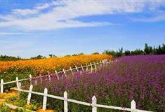 恒河生态园介绍及游玩景点推荐