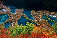 九寨沟风景区：树正群海