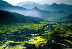 婺源江岭：1号观景台